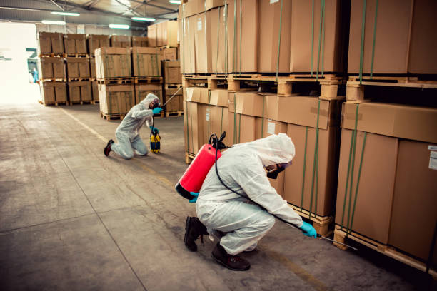 Best Affordable Pest Control Services  in Kibler, AR