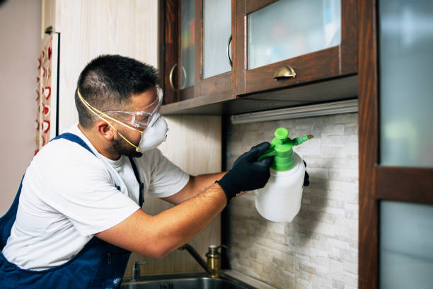 Best Local Pest Control Services  in Kibler, AR