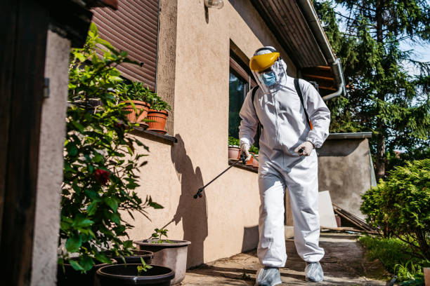 Professional Pest Control in Kibler, AR