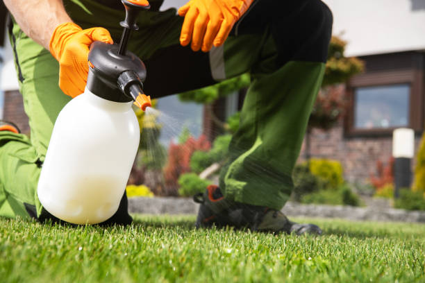 Best Flea Control Services  in Kibler, AR