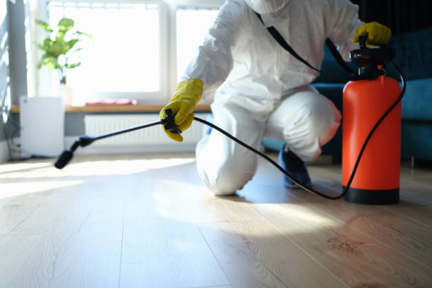 Best Flea Control Services  in Kibler, AR
