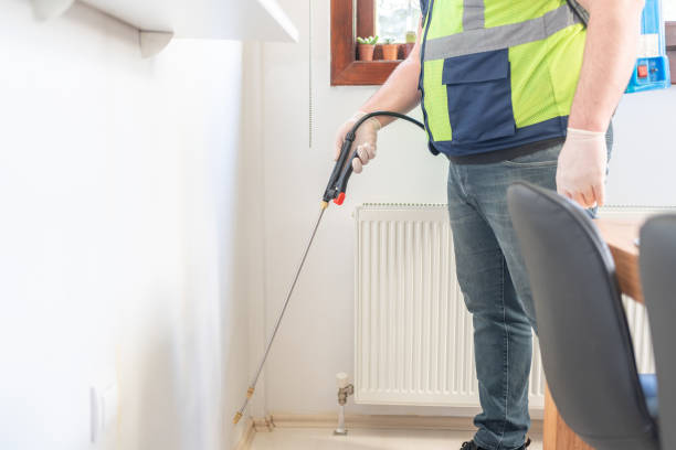 Best Wasp Removal Services  in Kibler, AR