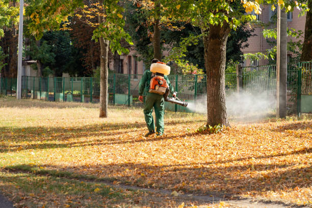 Best Ant Control Services  in Kibler, AR