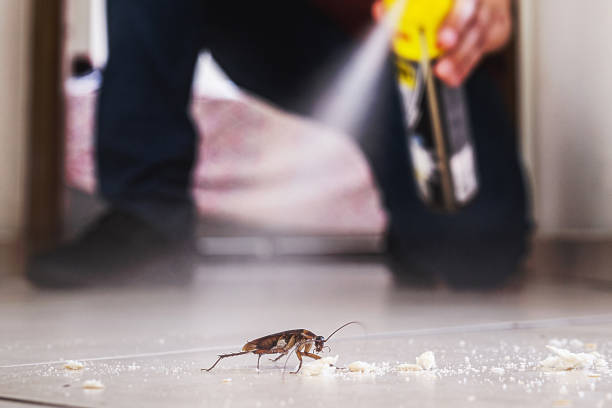 Best Commercial Pest Control Services  in Kibler, AR