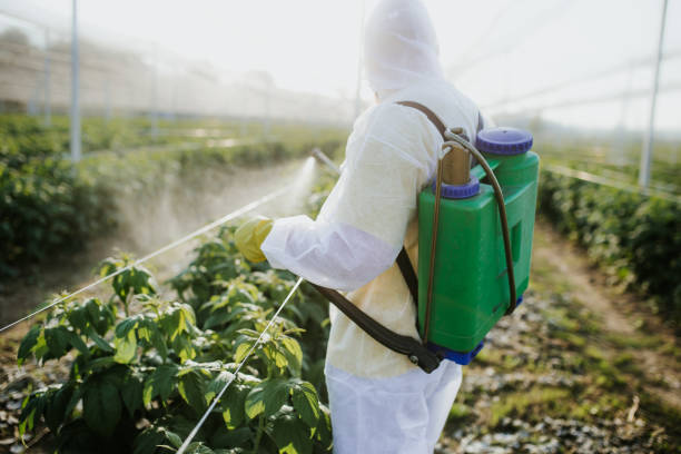Best Pest Prevention Services  in Kibler, AR